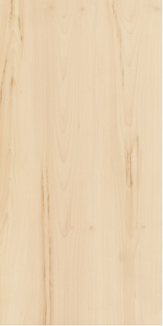 Плитка керамическая Italon Element Wood