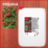 Антисептик невымываемый для дерева декоративный Neomid 435