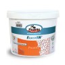 Краска интерьерная Picante ElastIN